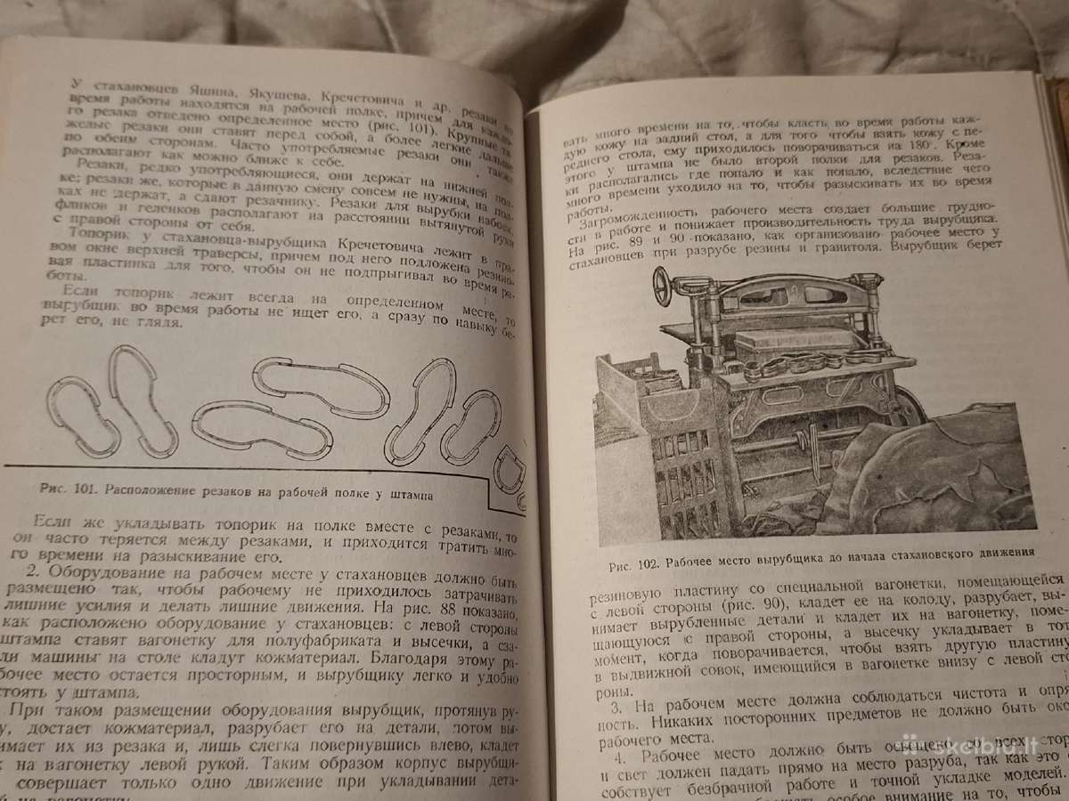 Avalynės apatinių dalių gamyba - nuotraukos Nr. 14
