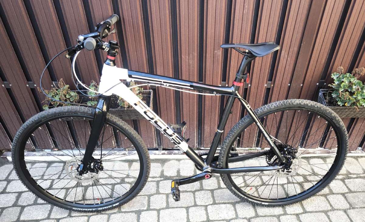 Focus Pro Series, L, 29 - nuotraukos Nr. 2