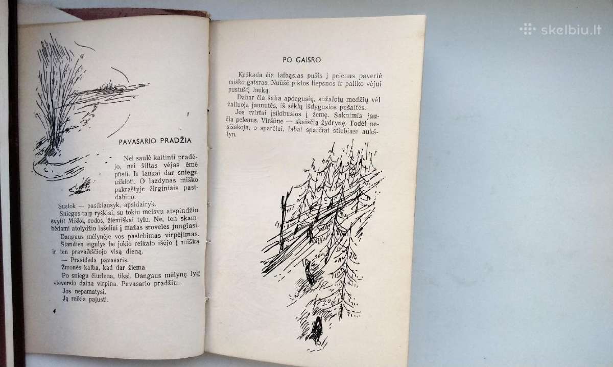 P. Naraškevičius. Į saulę(1959). Žalias vėjas - nuotraukos Nr. 5