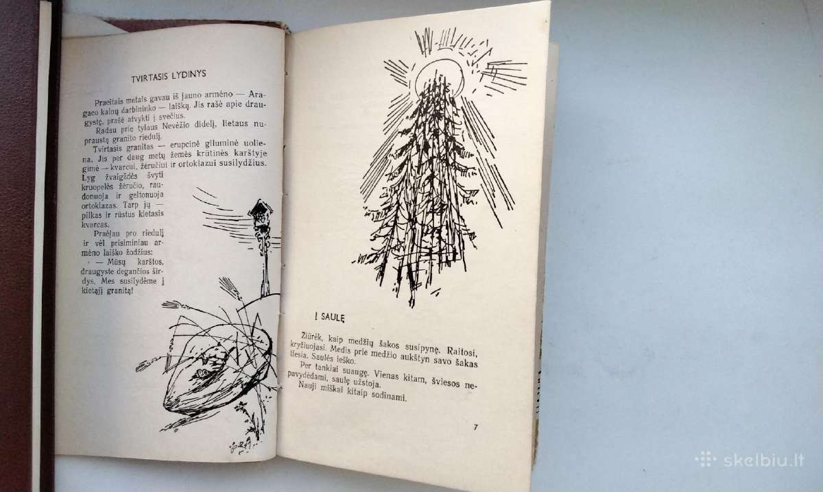 P. Naraškevičius. Į saulę(1959). Žalias vėjas - nuotraukos Nr. 6