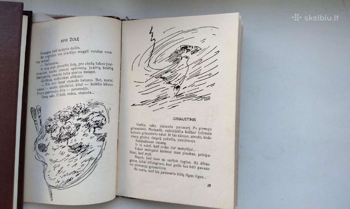 P. Naraškevičius. Į saulę(1959). Žalias vėjas - nuotraukos Nr. 7