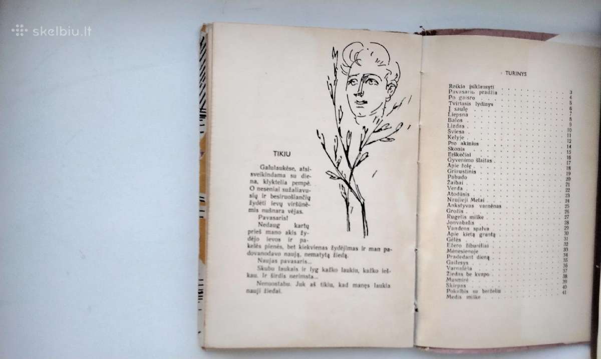 P. Naraškevičius. Į saulę(1959). Žalias vėjas - nuotraukos Nr. 9