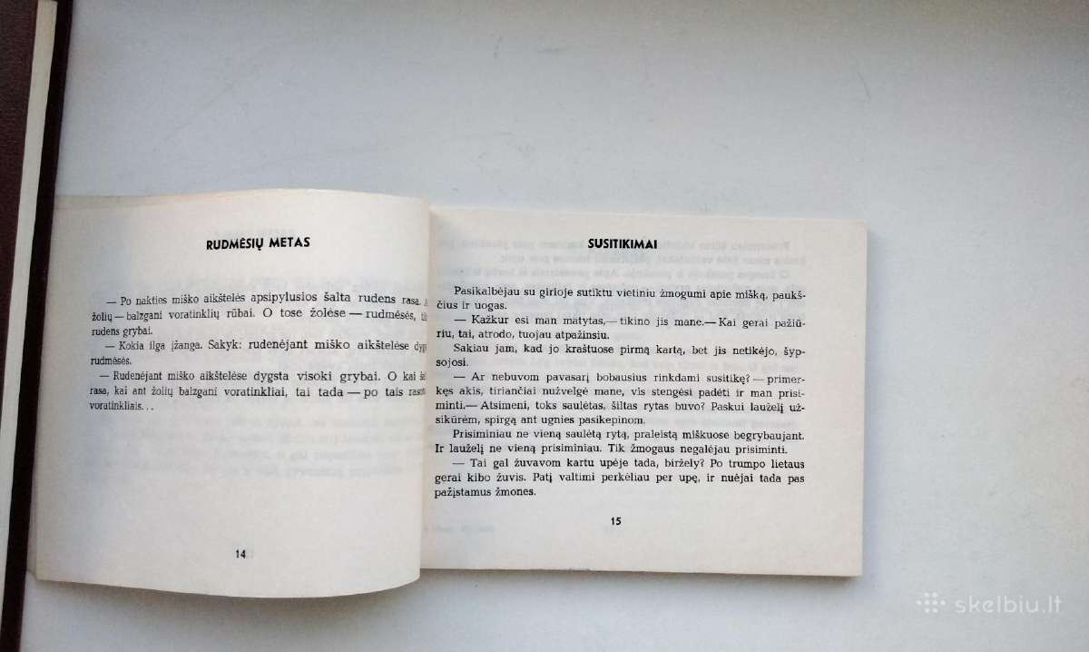 P. Naraškevičius. Į saulę(1959). Žalias vėjas - nuotraukos Nr. 17