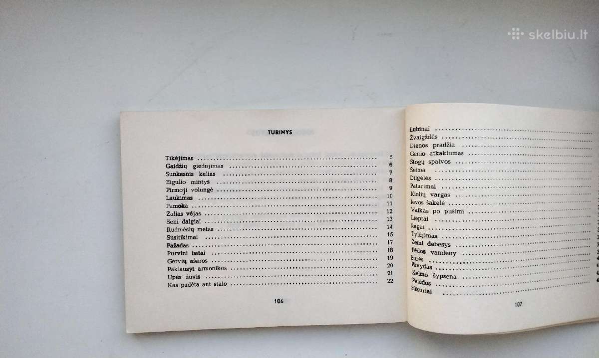 P. Naraškevičius. Į saulę(1959). Žalias vėjas - nuotraukos Nr. 18