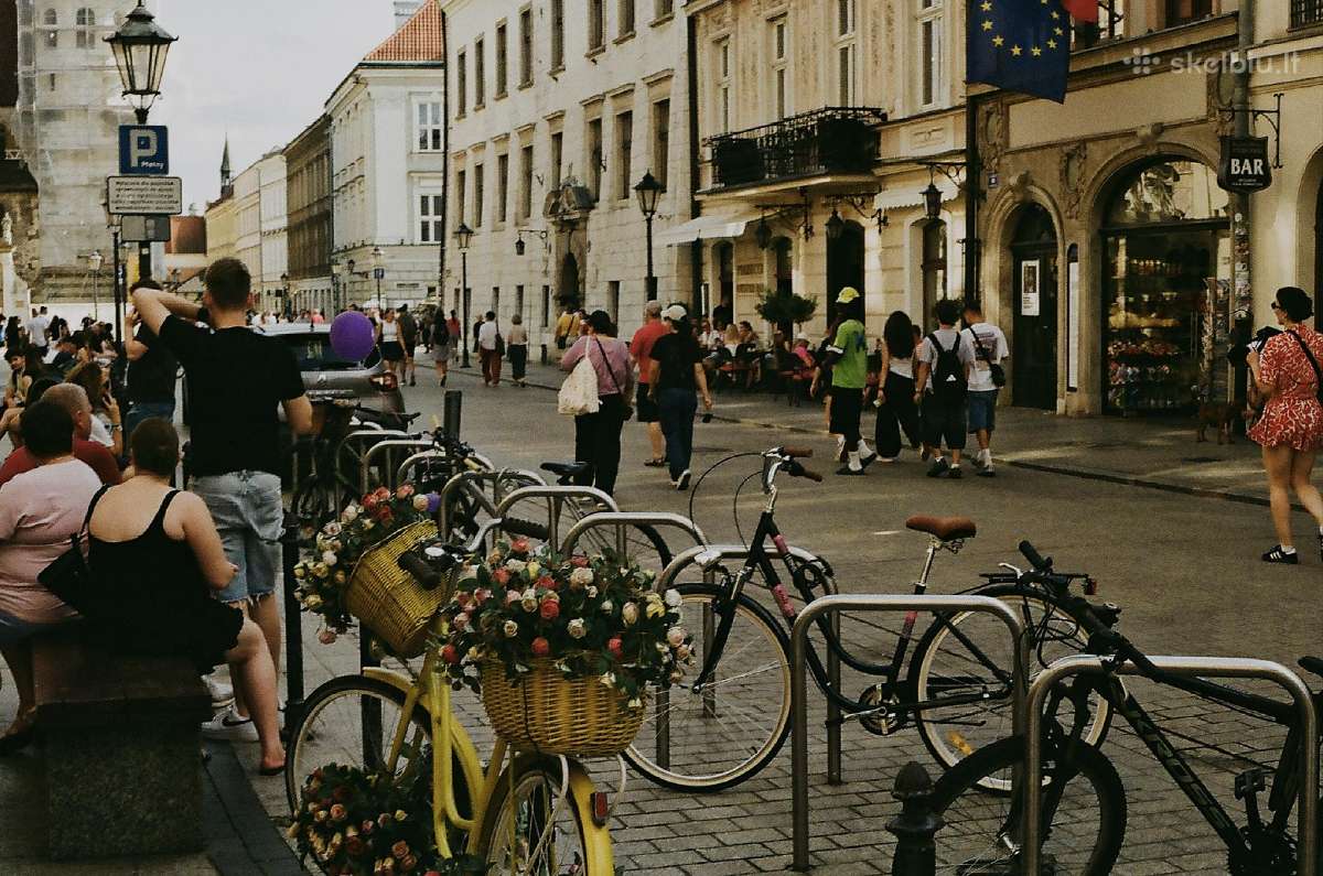 Canon Ae-1 Program - nuotraukos Nr. 18