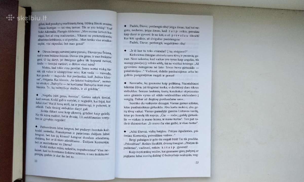 Kun. B. Bulika. Vyturio giesmė. 1998 m. leid. - nuotraukos Nr. 7