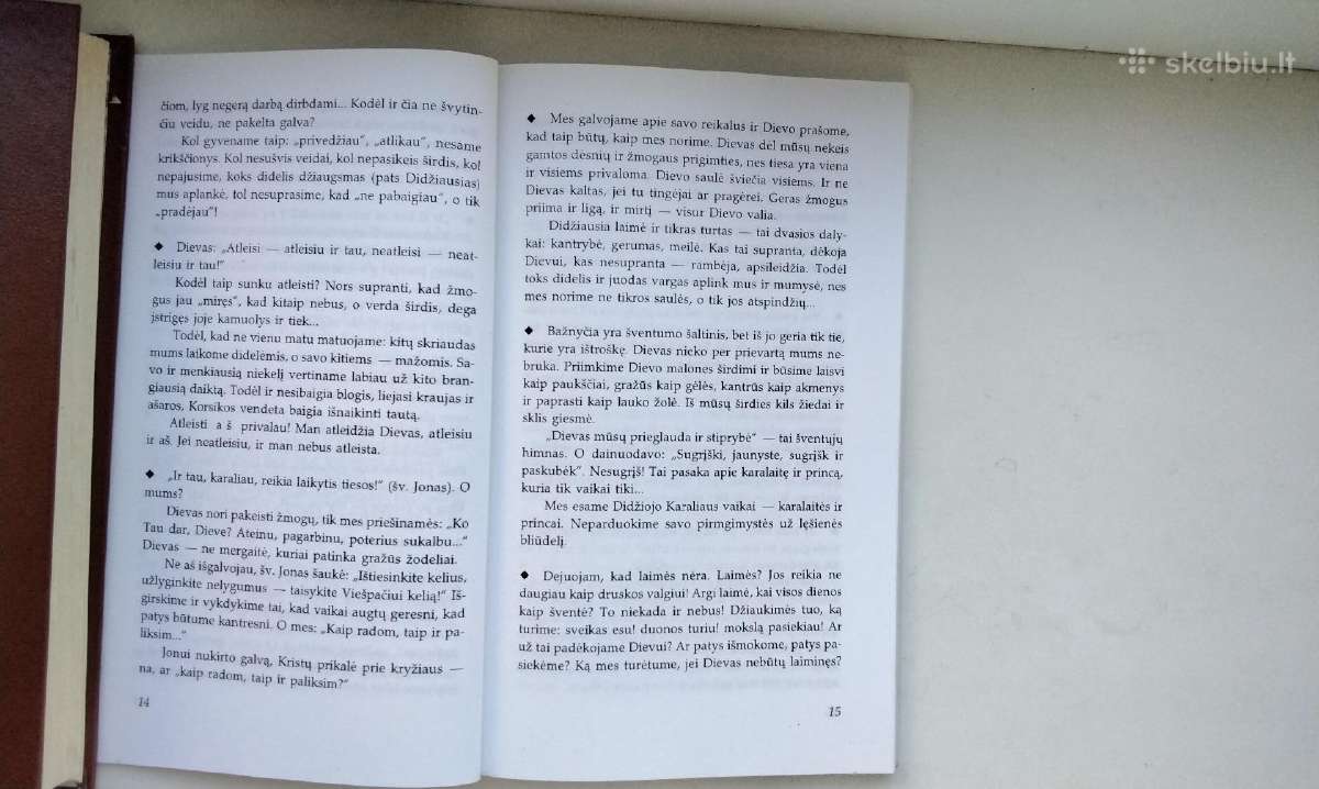 Kun. B. Bulika. Vyturio giesmė. 1998 m. leid. - nuotraukos Nr. 8