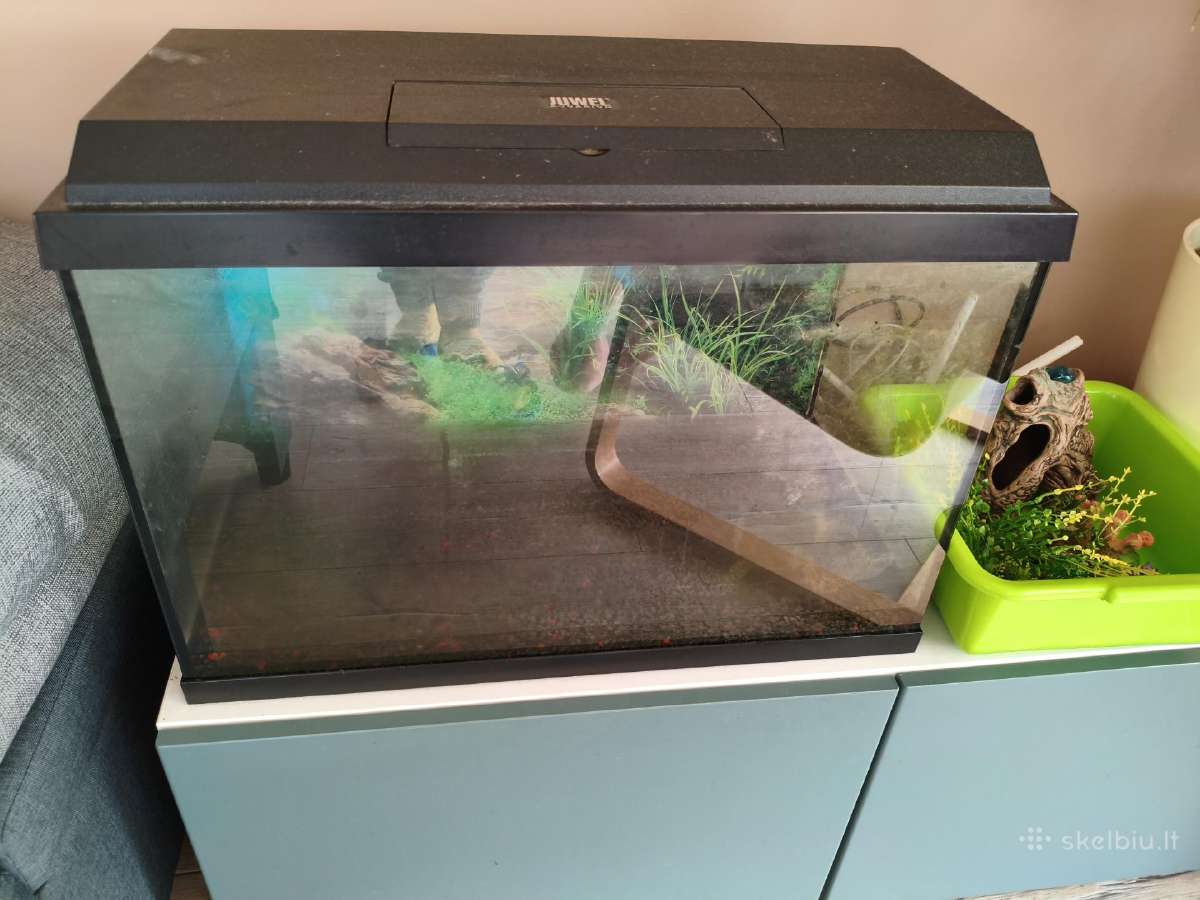 72l akvariumas su dangčiu ir išoriniu filtru - nuotraukos Nr. 2