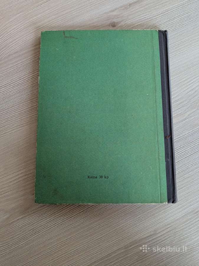 V. Petkevičiaus "Sieksnis sprindžio vaikas" - nuotraukos Nr. 2