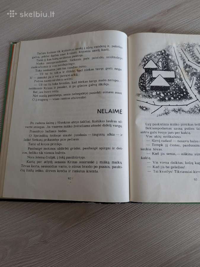 V. Petkevičiaus "Sieksnis sprindžio vaikas" - nuotraukos Nr. 6