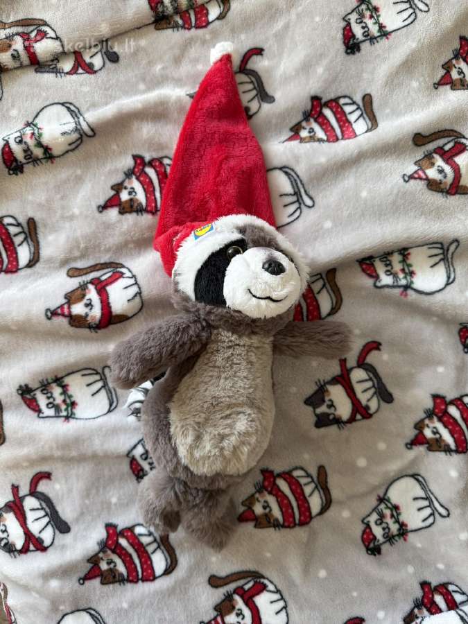 Dovanoju pinigines kitas smulkmenas - nuotraukos Nr. 2