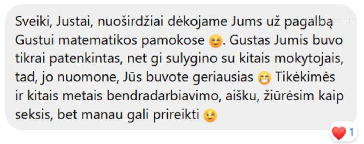 Matematikos korepetitorius nuotoliu (5–10 kl.) - nuotraukos Nr. 2