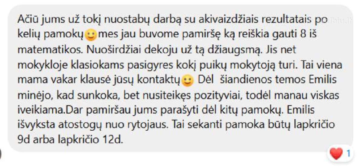Matematikos korepetitorius nuotoliu (5–10 kl.) - nuotraukos Nr. 4