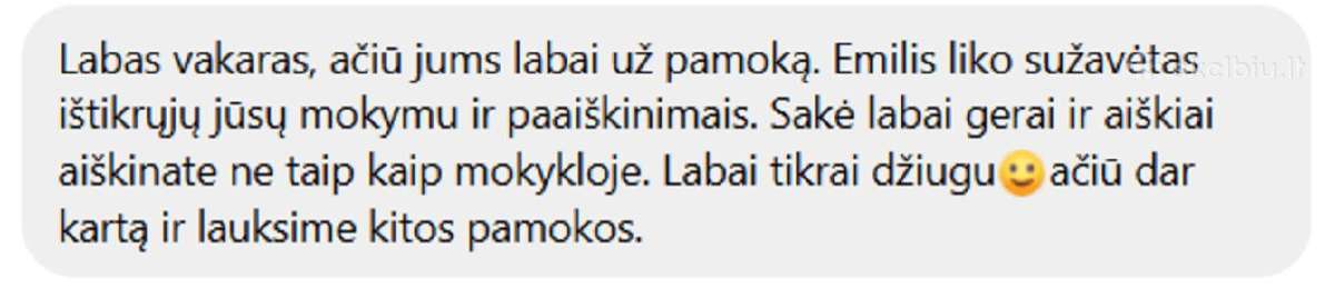 Matematikos korepetitorius nuotoliu (5–10 kl.) - nuotraukos Nr. 5