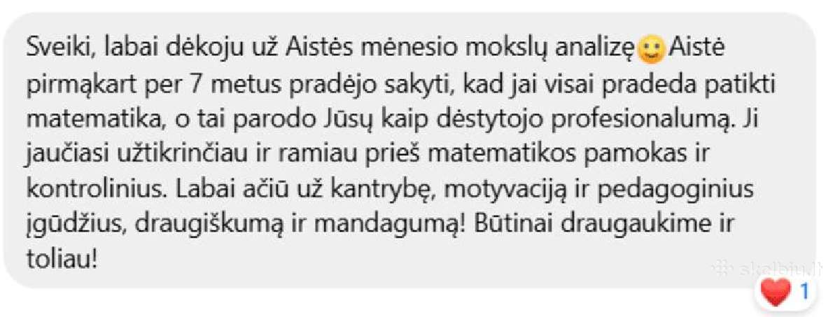 Matematikos korepetitorius nuotoliu (5–10 kl.) - nuotraukos Nr. 6