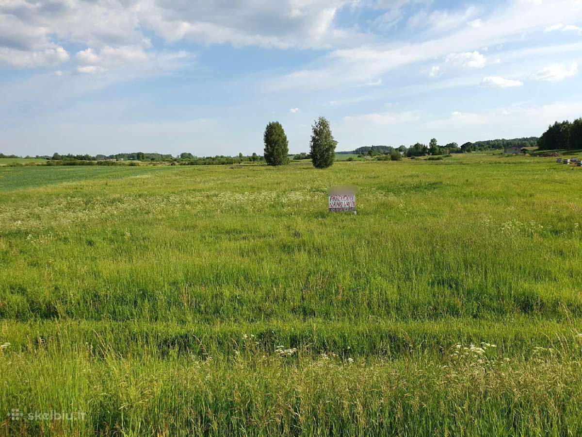 Parduodami 7 namų valdos sklypai, Šatrininkai - nuotraukos Nr. 2