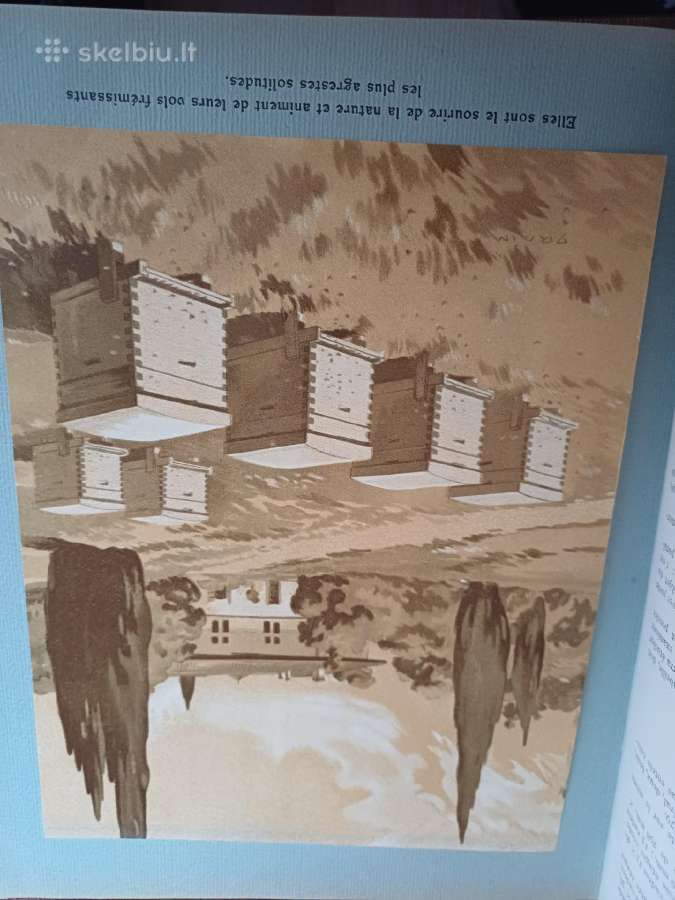 Parduodu knyga,1931m apie bites.paris - nuotraukos Nr. 5