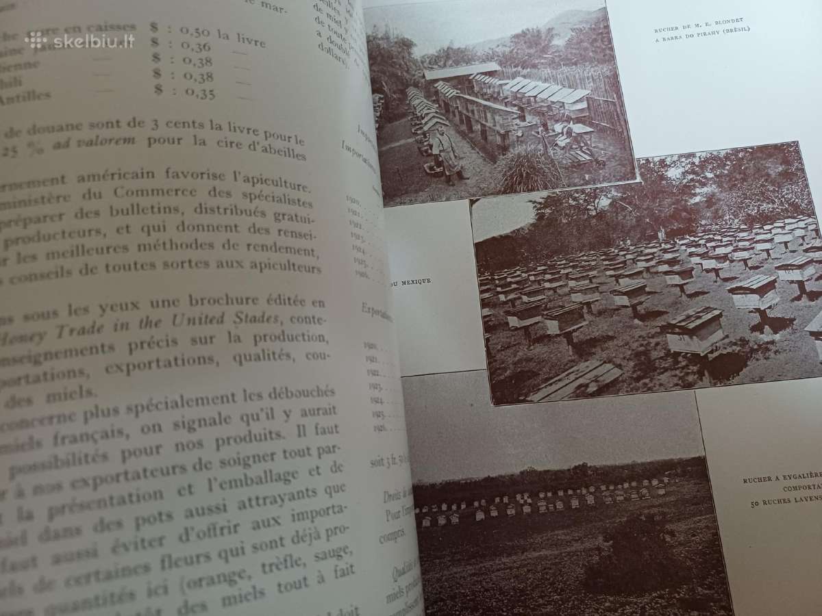 Parduodu knyga,1931m apie bites.paris - nuotraukos Nr. 7