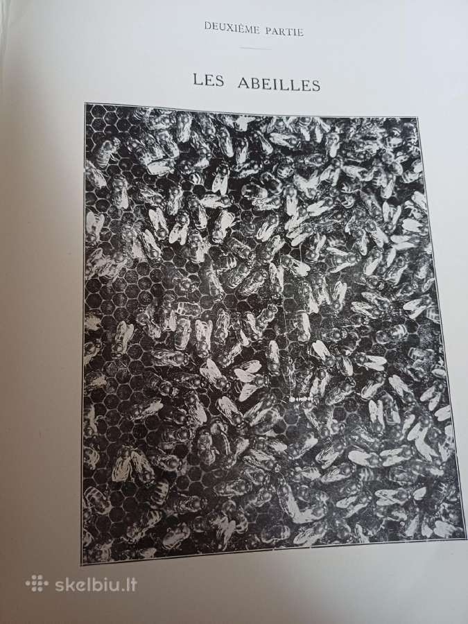 Parduodu knyga,1931m apie bites.paris - nuotraukos Nr. 10
