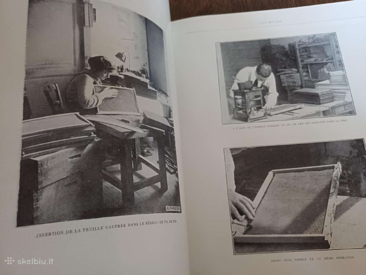 Parduodu knyga,1931m apie bites.paris - nuotraukos Nr. 17