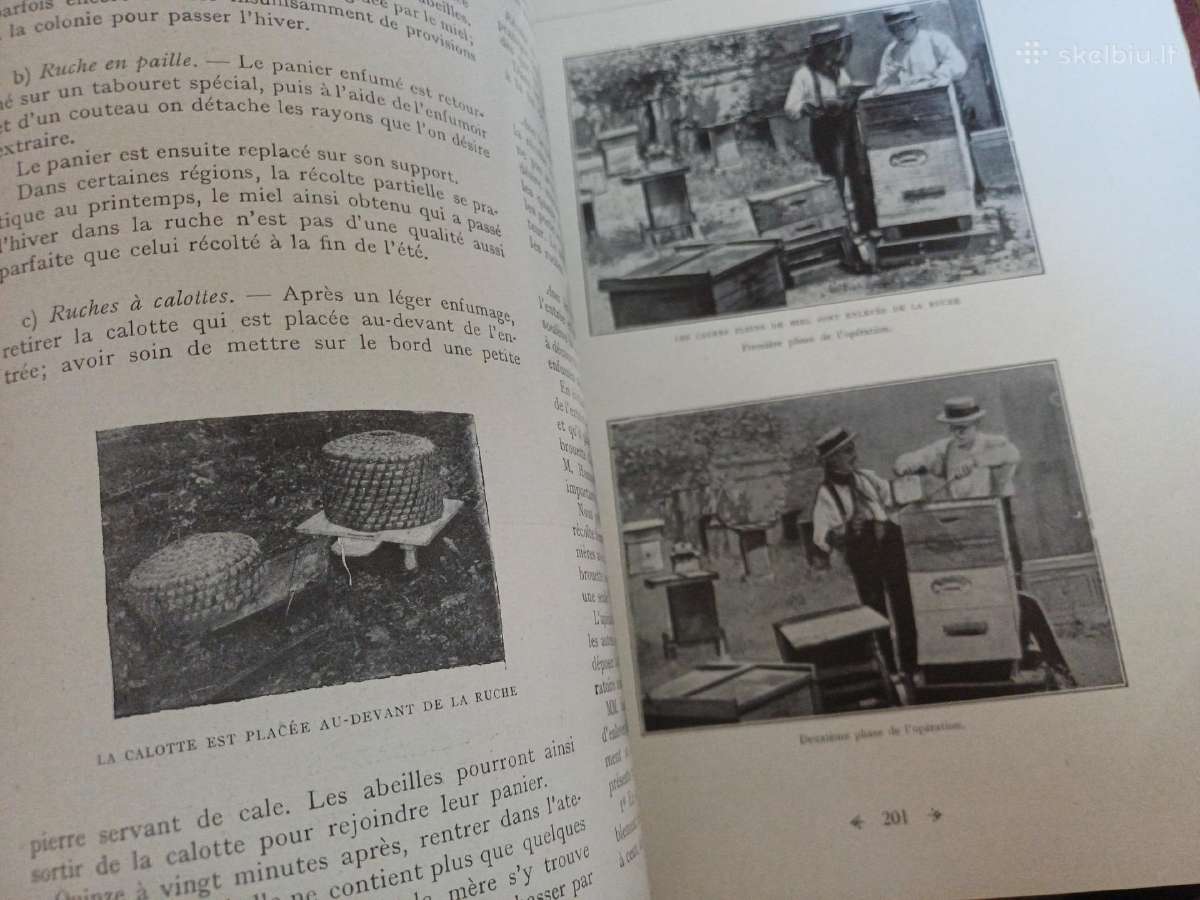 Parduodu knyga,1931m apie bites.paris - nuotraukos Nr. 25