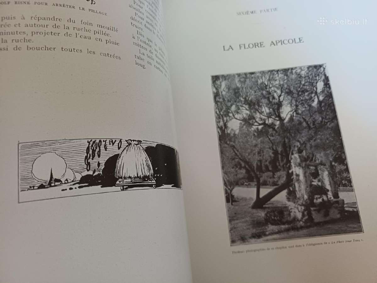 Parduodu knyga,1931m apie bites.paris - nuotraukos Nr. 33