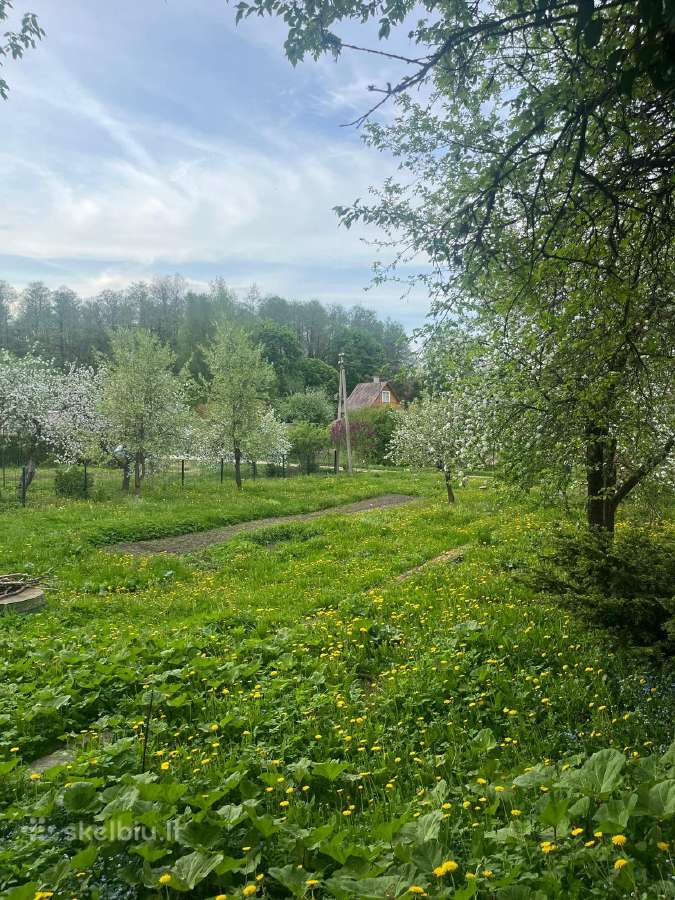 Parduodamas Išskirtinai Erdvus 10 Arų Sodo Sklypas - nuotraukos Nr. 4