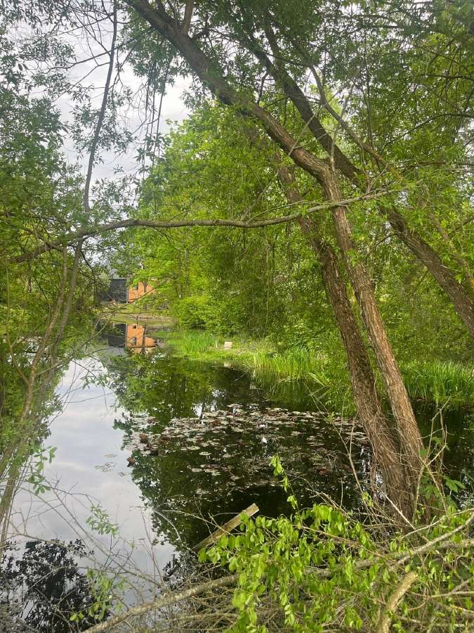Parduodamas Išskirtinai Erdvus 10 Arų Sodo Sklypas - nuotraukos Nr. 7