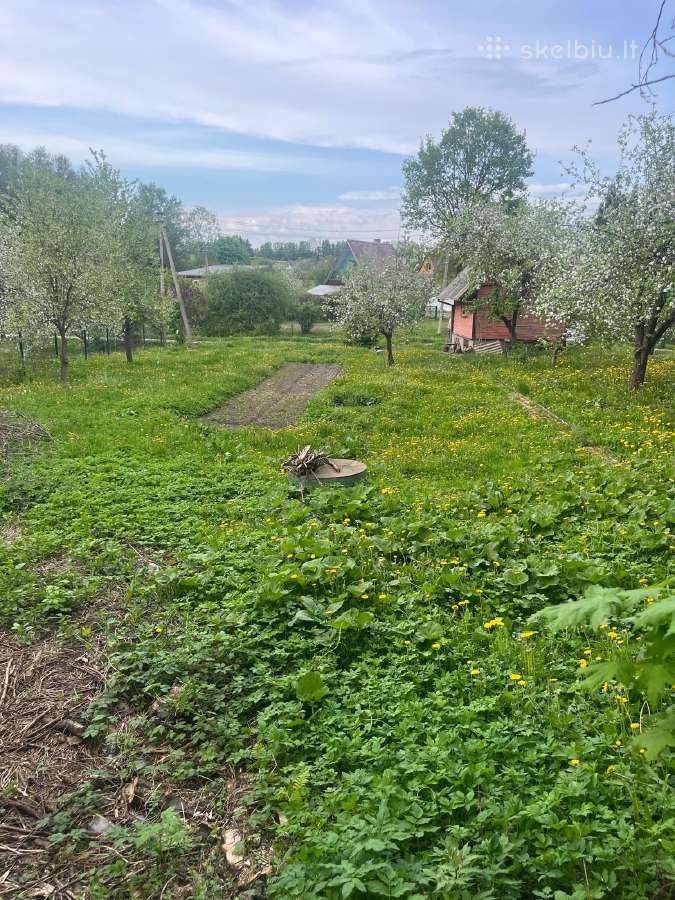 Parduodamas Išskirtinai Erdvus 10 Arų Sodo Sklypas - nuotraukos Nr. 8