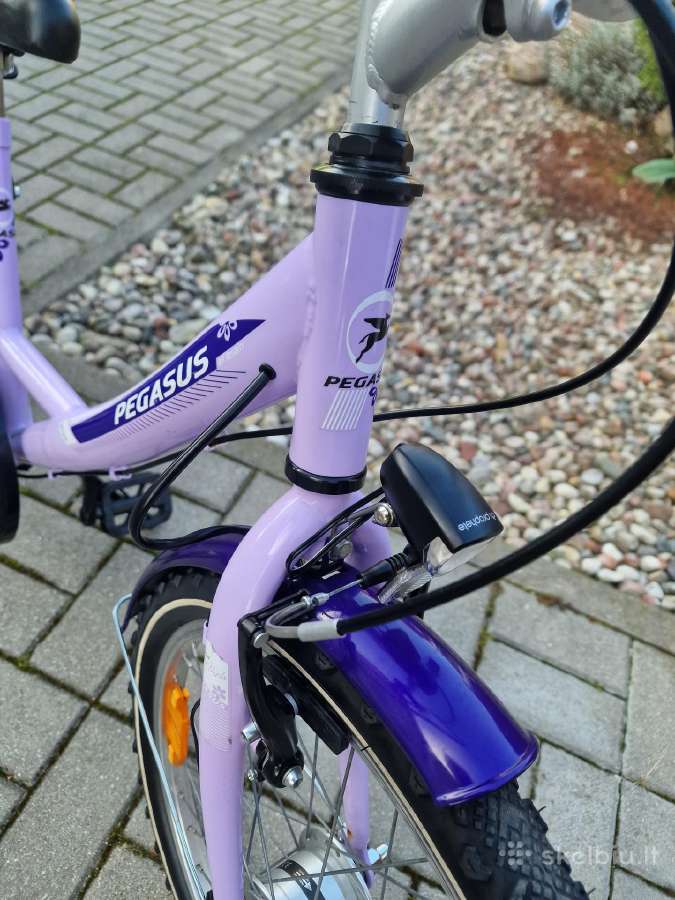 Pegasus - nuotraukos Nr. 6