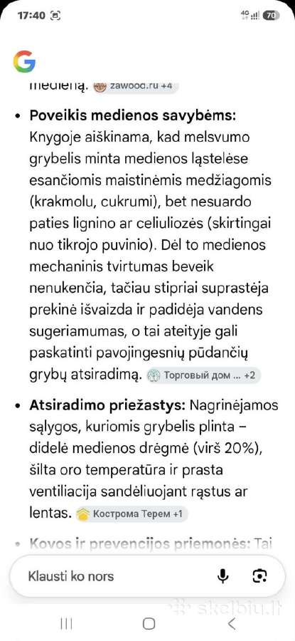 Medienos pamėlynavimas - nuotraukos Nr. 7