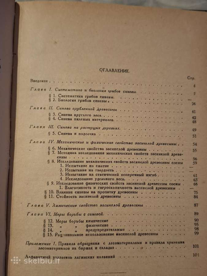 Medienos pamėlynavimas - nuotraukos Nr. 11