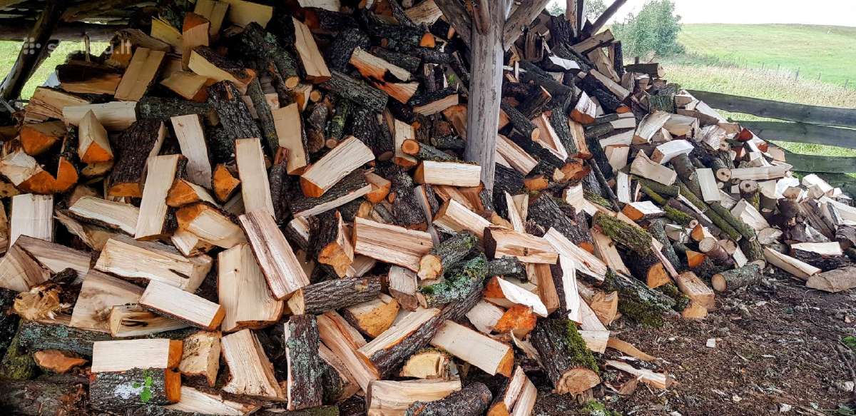 Malkos kapotos ir kaladėlėmis. Beržas, juodalksnis - nuotraukos Nr. 2