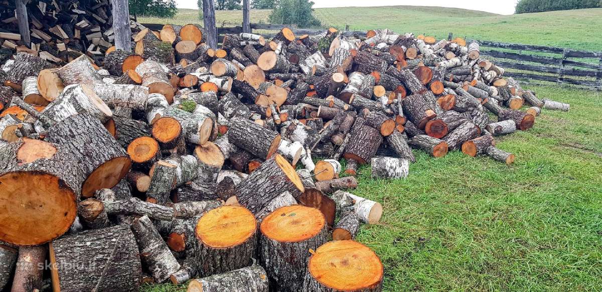 Malkos kapotos ir kaladėlėmis. Beržas, juodalksnis - nuotraukos Nr. 3