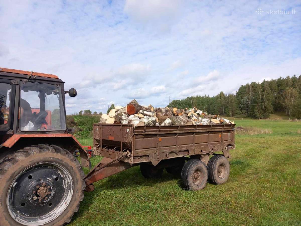 Malkos kapotos ir kaladėlėmis. Beržas, juodalksnis - nuotraukos Nr. 4