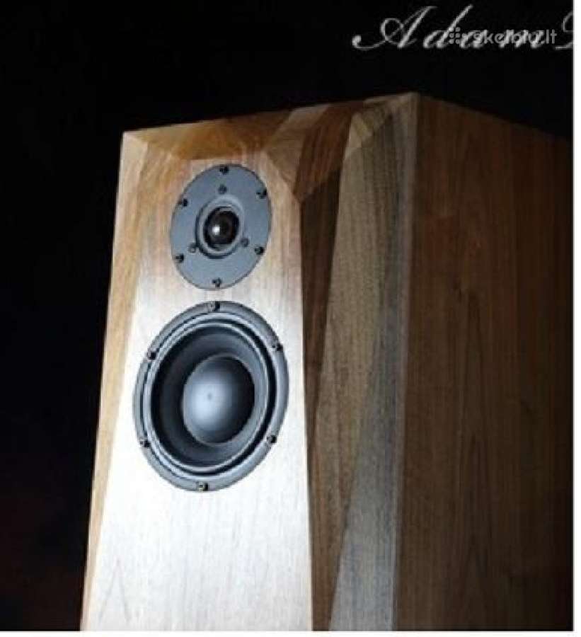 Hivi Acoustics & Swan Speakers - nuotraukos Nr. 2