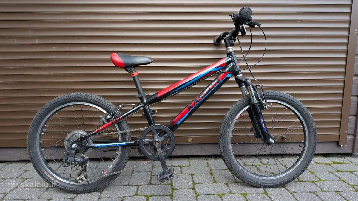 Vaikiškas dviratis Karbon Junior Racing 20" - nuotraukos Nr. 2