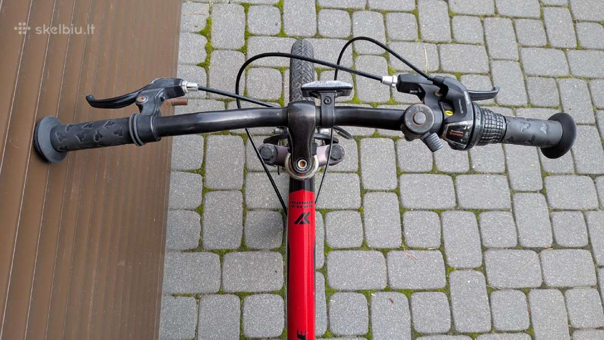 Vaikiškas dviratis Karbon Junior Racing 20" - nuotraukos Nr. 4