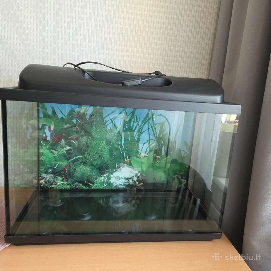 Akvariumas 70 litrų - nuotraukos Nr. 2