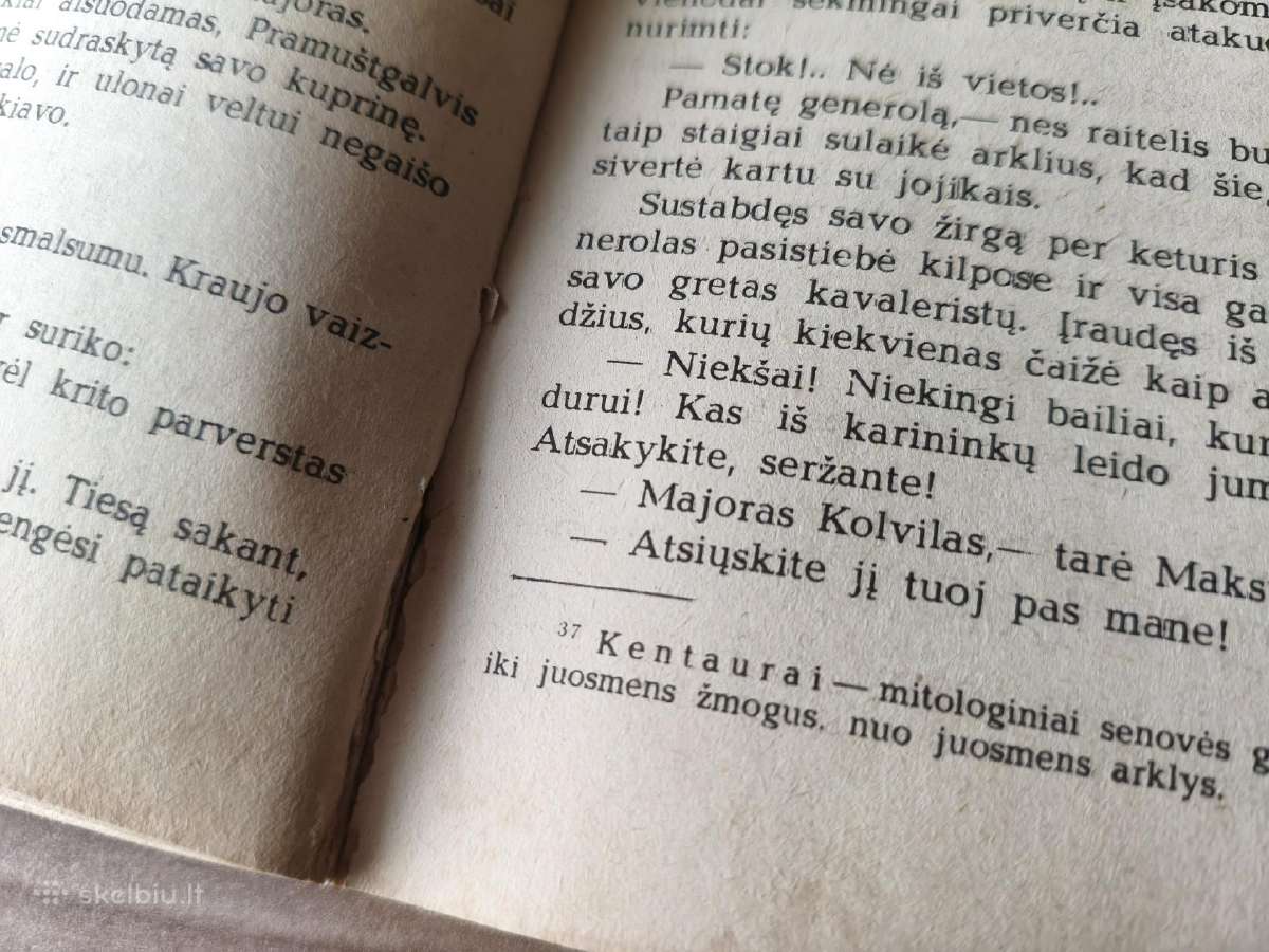 Luji Busenaras "Kapitonas pramuštgalvis" - nuotraukos Nr. 8