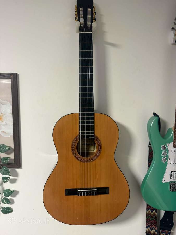 Klasikinė gitara - nuotraukos Nr. 7