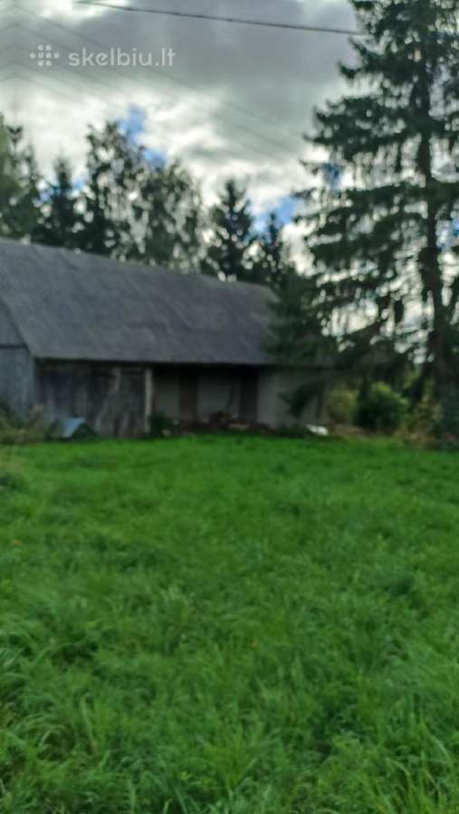 Parsiduoda Murinys Namas - nuotraukos Nr. 4