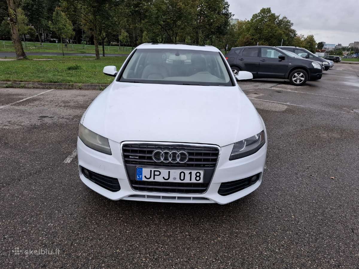 Quattro bet degina tepalus - nuotraukos Nr. 2