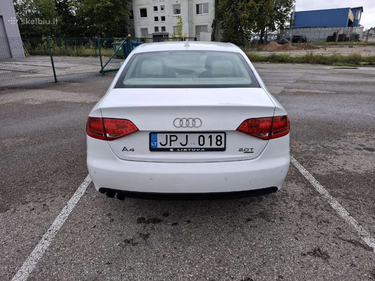 Quattro bet degina tepalus - nuotraukos Nr. 6