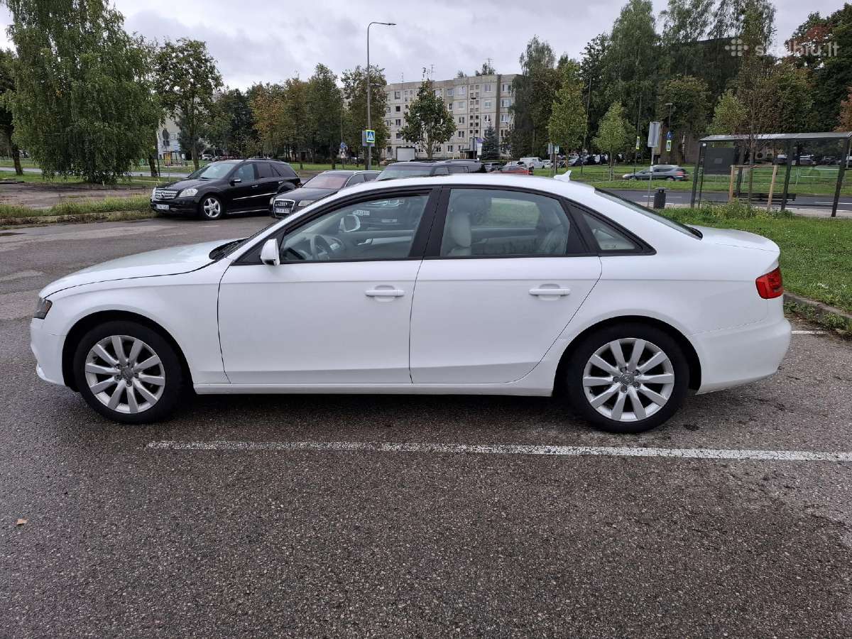 Quattro bet degina tepalus - nuotraukos Nr. 8