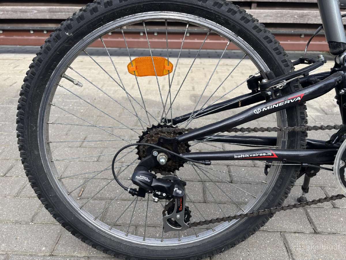 Dviratis 24" Minerva Fresh S - nuotraukos Nr. 2