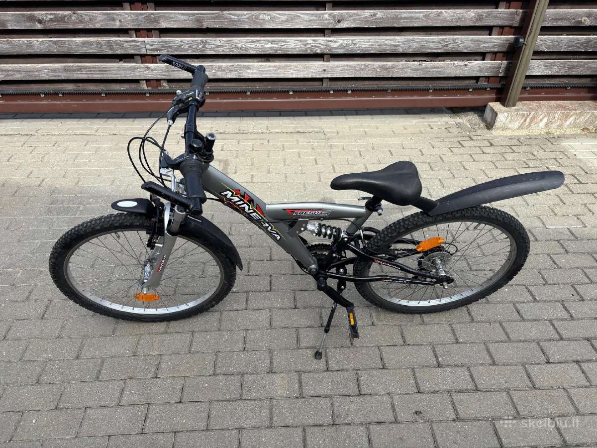 Dviratis 24" Minerva Fresh S - nuotraukos Nr. 7