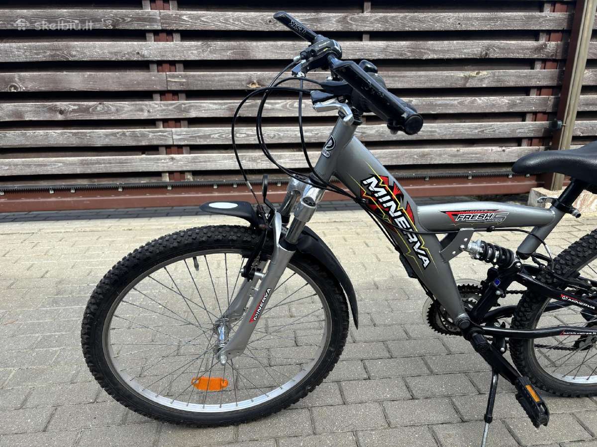 Dviratis 24" Minerva Fresh S - nuotraukos Nr. 8