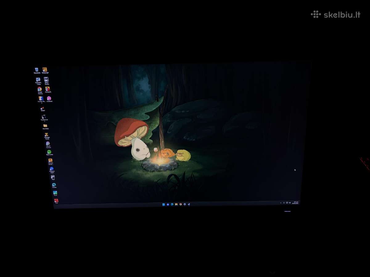 Dell profesionalus darbui ir žaidimams monitorius - nuotraukos Nr. 4