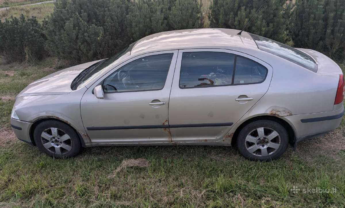 Skoda Octavia - nuotraukos Nr. 2
